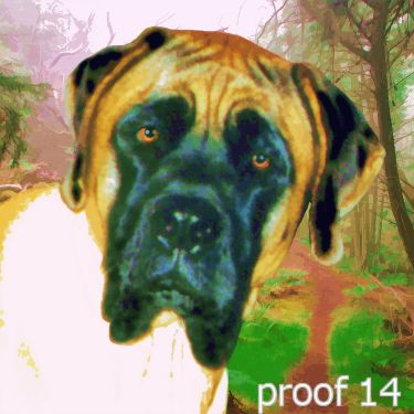 breed pop art pet portrait mastiff 