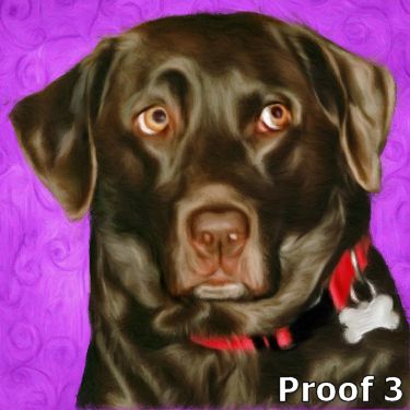 Chocolate Labrador portrait