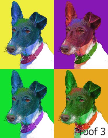 pop art dog portrait Fox Terrier