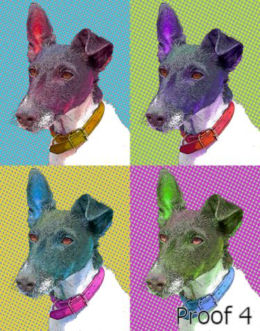  breed specific pet Smooth coated Fox Terrier
