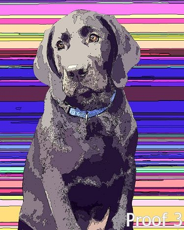 Labrador art and gifts