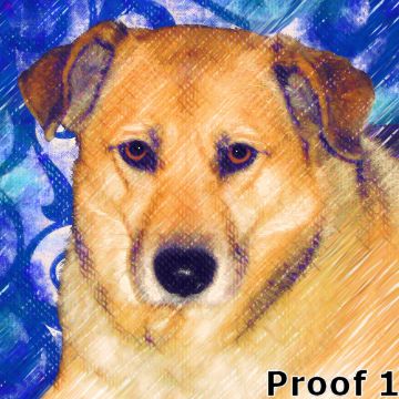 dog art