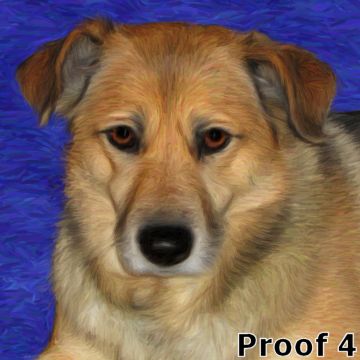 dog art from your photos