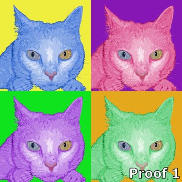 Fun cat portraits 