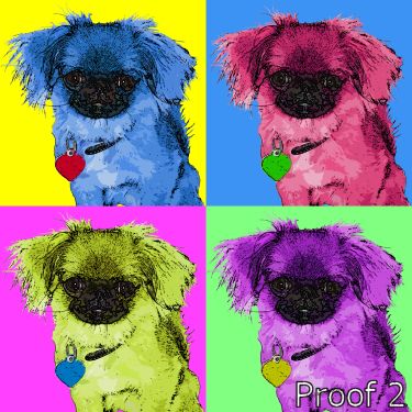pet portrait Japanese Chin