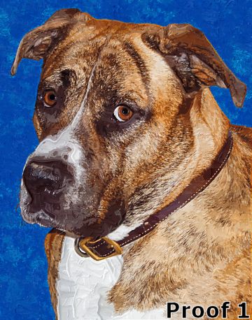 Boxer pop art and gifts