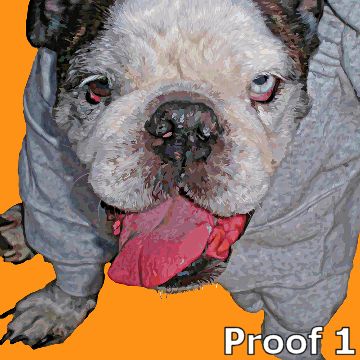 Custom Bulldog Portrait Pop Art Style