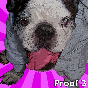pop art pet portrait english bulldog