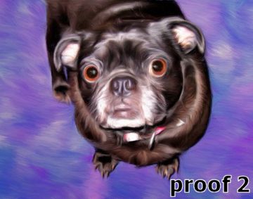 Whimsical Chinese Pug portraits