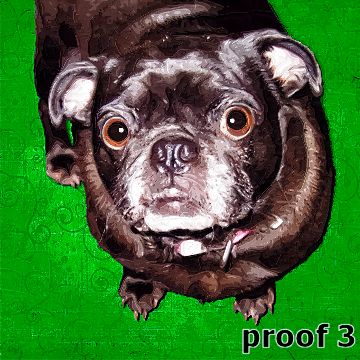 Black Puggie art portrait