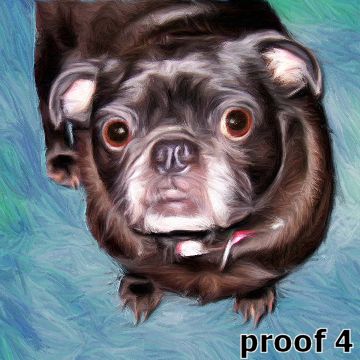 Custom Chinese Pug portraits and gifts