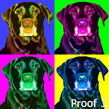  Black Labrador Retriever Art and Gifts