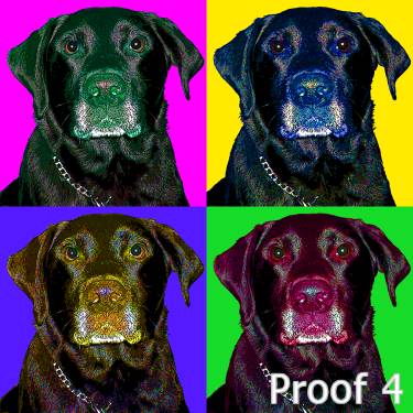 breed specific labrador retriever art
