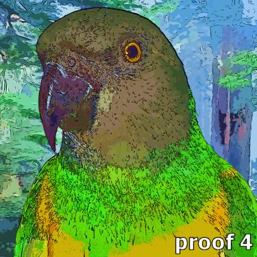 Senegal Parrot Portrait