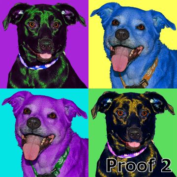 custom pet portrait mixed breed 