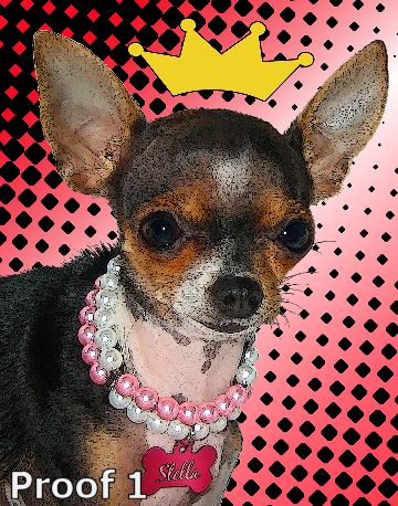 Custom Chihuahua portraits from your photos