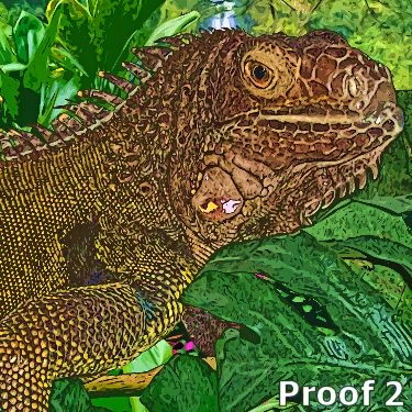 iguana art