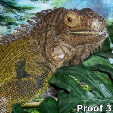 iguana portraits and gifts
