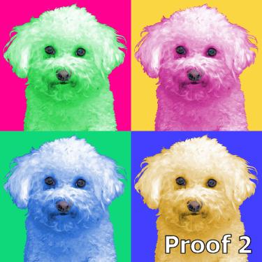 Bichon Frise cool art portrait 