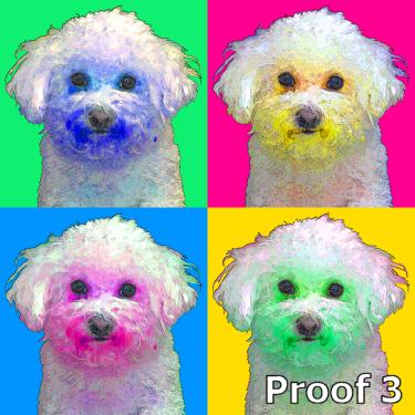 Bichon Frise pop art portrait custom art