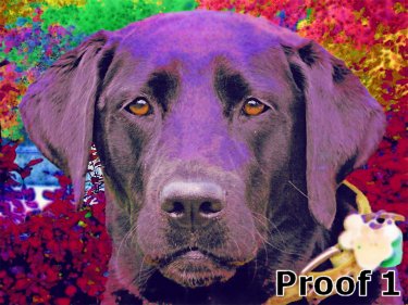 Lab custom portrait