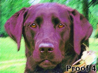 breed specific labrador Retriever art