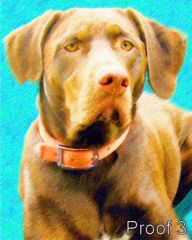 Dog art 