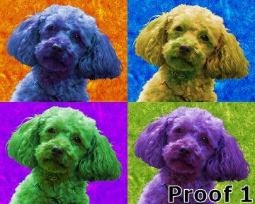 Mini Poodle pop art