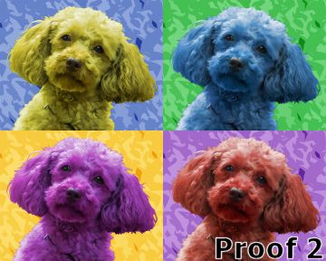 Miniature Poodle cool art portrait 
