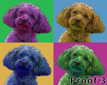 Poodle pop art custom art