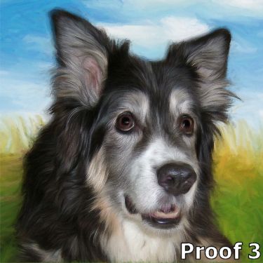Australian Shepherd portraits and gifts