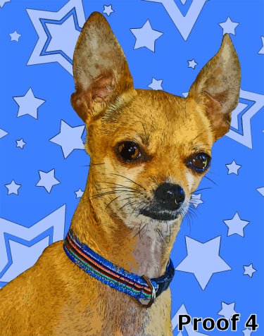 breed specific dog portrait chihuahua