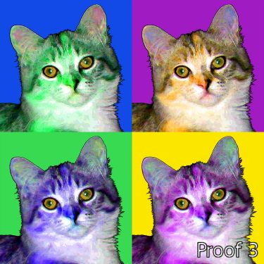 cat pop art portraits