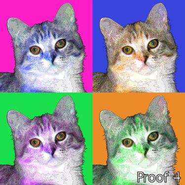 kitty pop art portraits