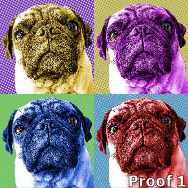 pop art pug portrait