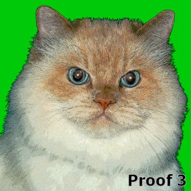 Himalayan cat pop art portraits