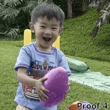 Custom traditional portrait from your photos