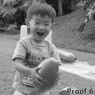 traditional portrait from your photos