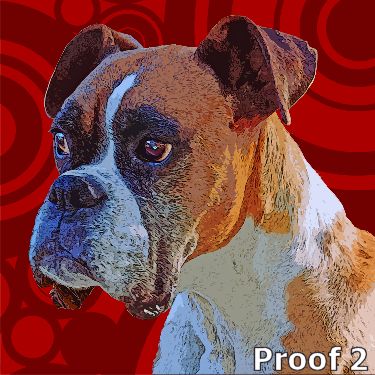Boxer pop art styled portrait