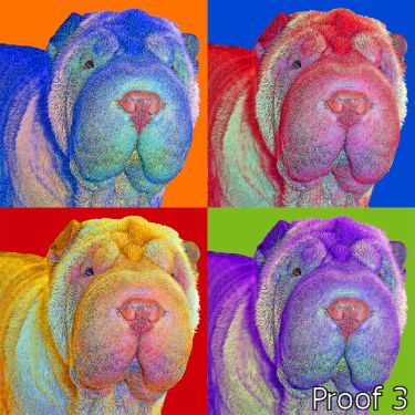 Shar Pei Dog Portrait Art