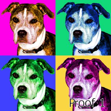 Pit Bull Art Warhol inspired