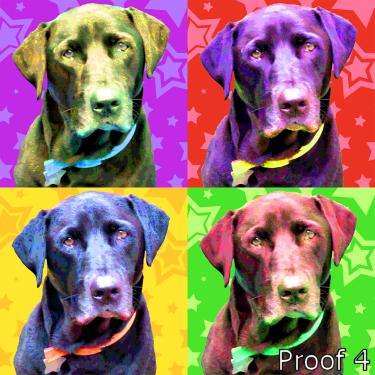 pop art portrait Warhol inspired