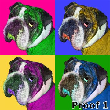 Custom Bulldog Portrait Pop Art Style