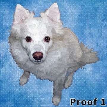 Samoyed portraits 