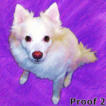 Samoyed custom art 