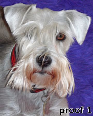 Schnauzer custom art
