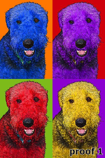 Aireadale portraits and art