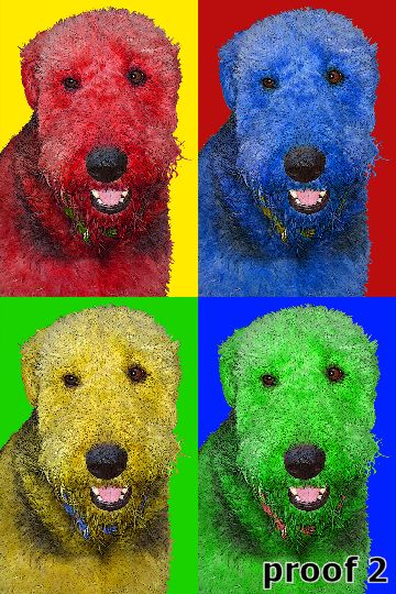 Aireadale Terrier gifts and portraits