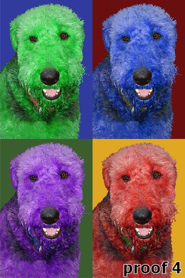 Aireadale Terrier breed specific gifts and portraits