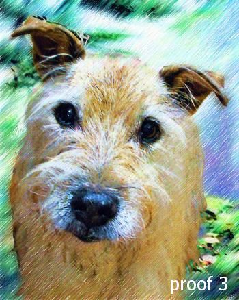 Portrait of a terrer